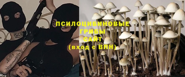 прущая мука Алексин